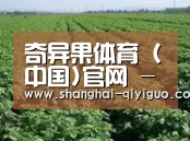 种植基地五(图1)