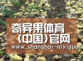 种植基地八(图1)