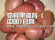 产品展示标题1