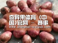 产品展示标题5(图1)
